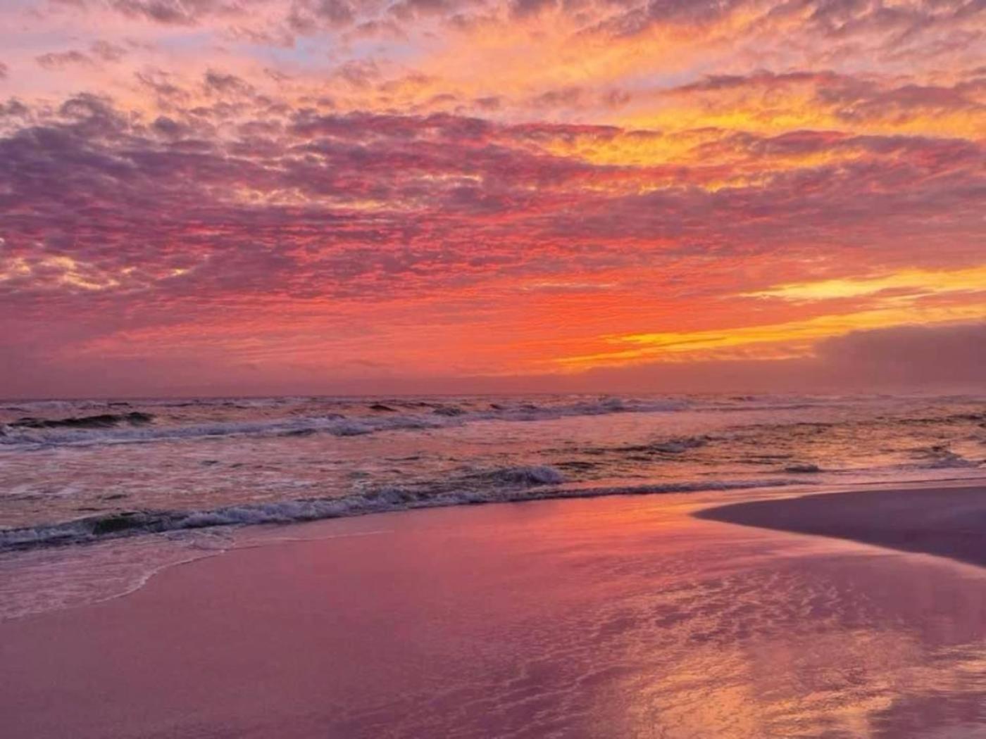 5 Star Resort 11Th Fl Stunning Sunrise 2Br 2Ba King Suite,Pools ,Shuttle Or Walk To Beach Destin Eksteriør billede
